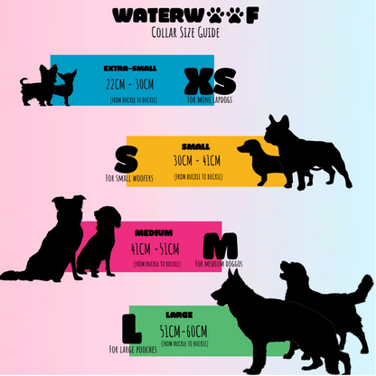 "BAILEY" Chain Collar