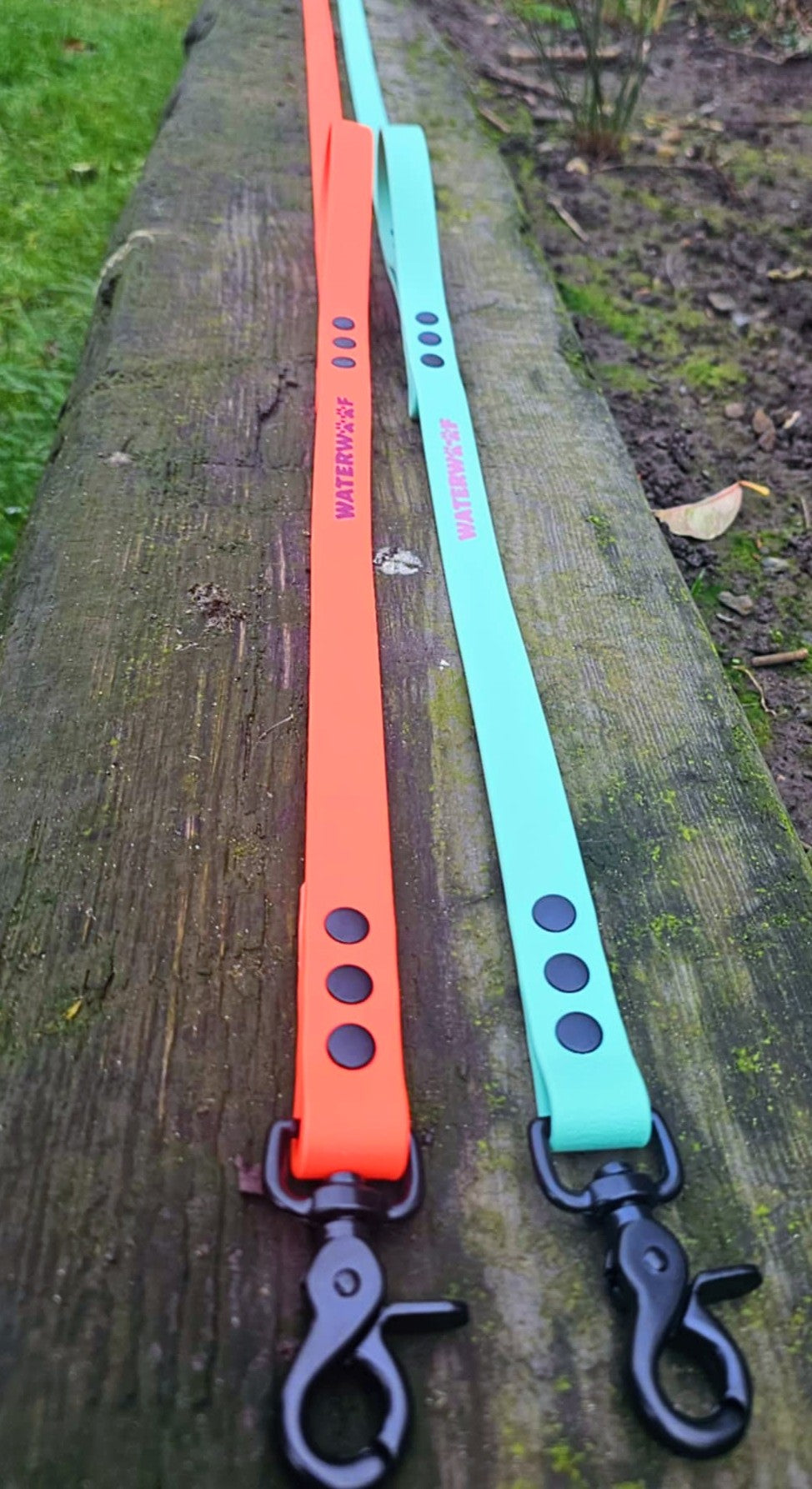 "BERNIE"  Dual Handle Lead