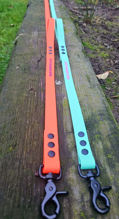 "BERNIE"  Dual Handle Lead