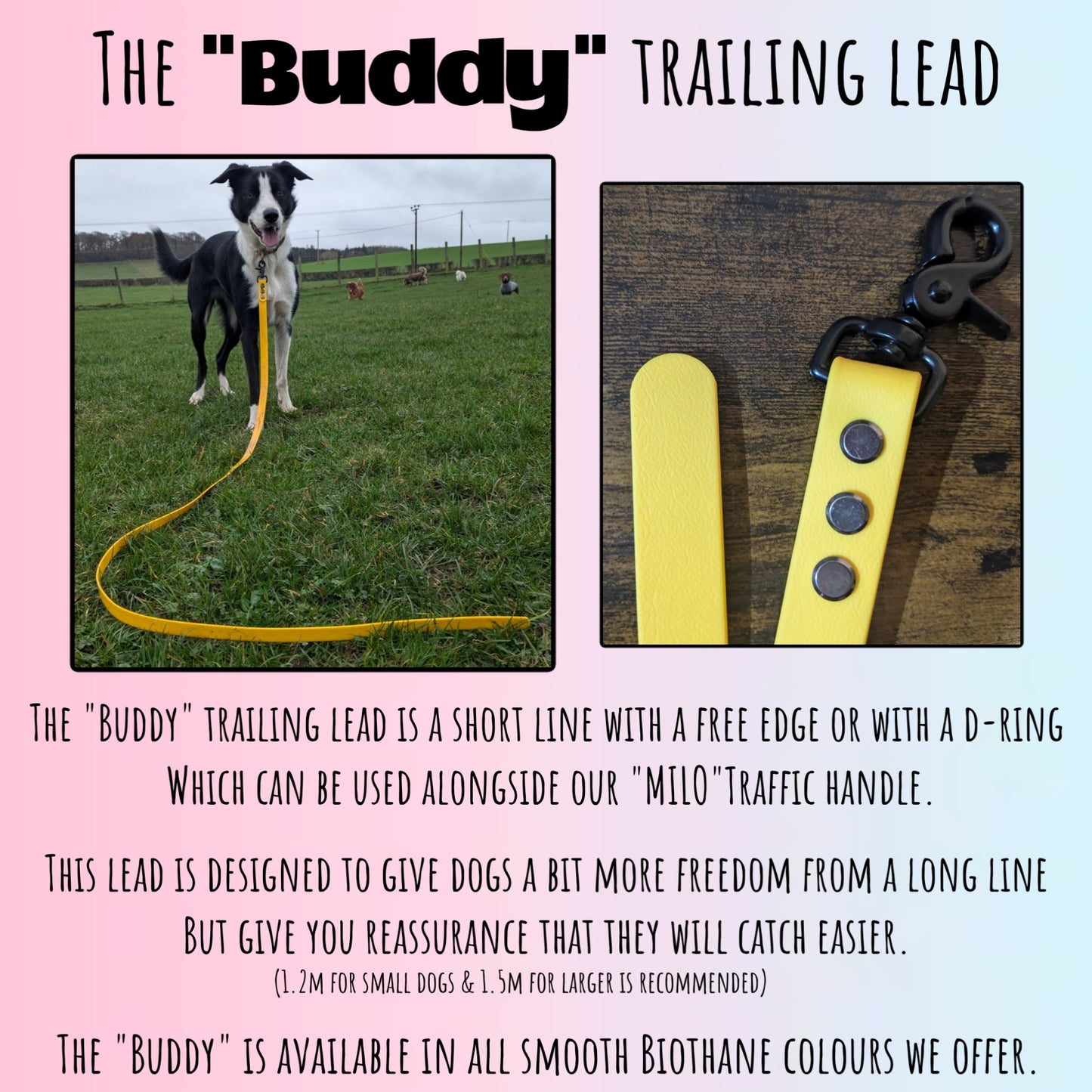 "BUDDY" Trailing lead