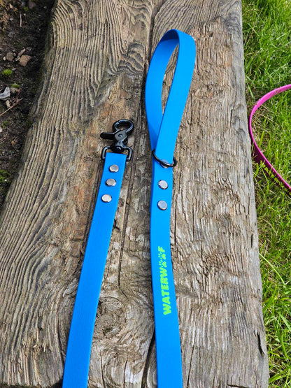 "VERA" Standard 1.2m Lead