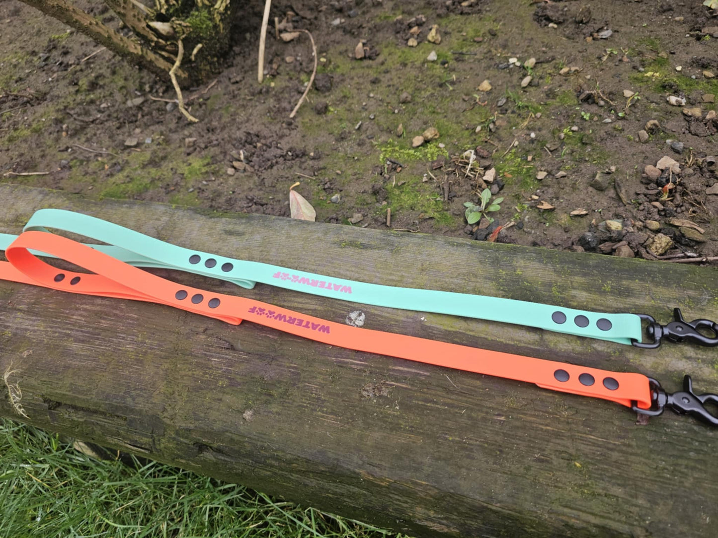 "BERNIE"  Dual Handle Lead