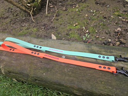 "BERNIE"  Dual Handle Lead